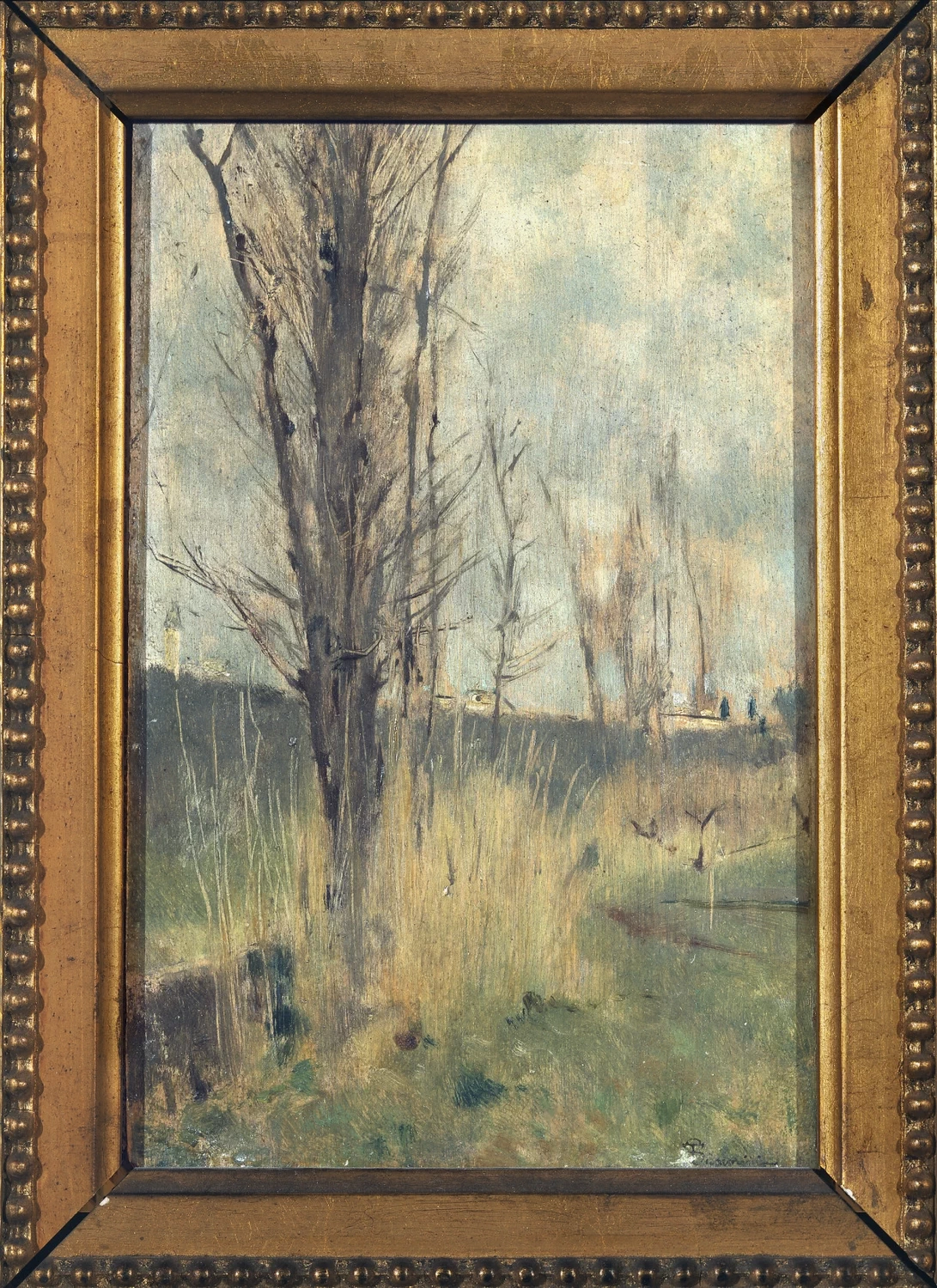paesaggio con alberi  - Palazzo Pitti, Firenze